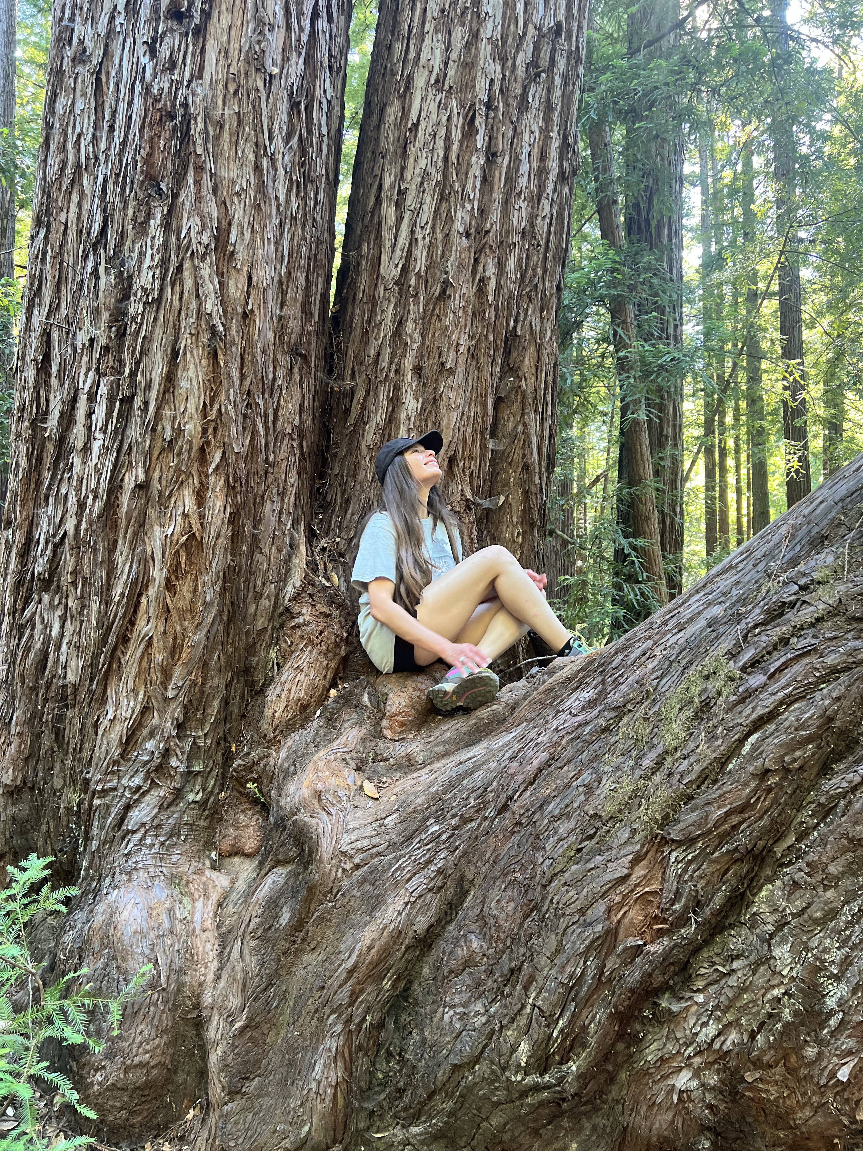 Nature: Me sitting on a giant tree.